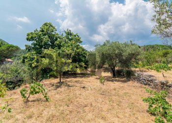 Giardino - Agricultural land Via Ronzini
123, Trecastagni - photo 19