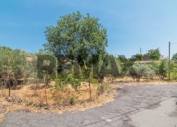 Giardino - Agricultural land Via Ronzini
123, Trecastagni - photo 26