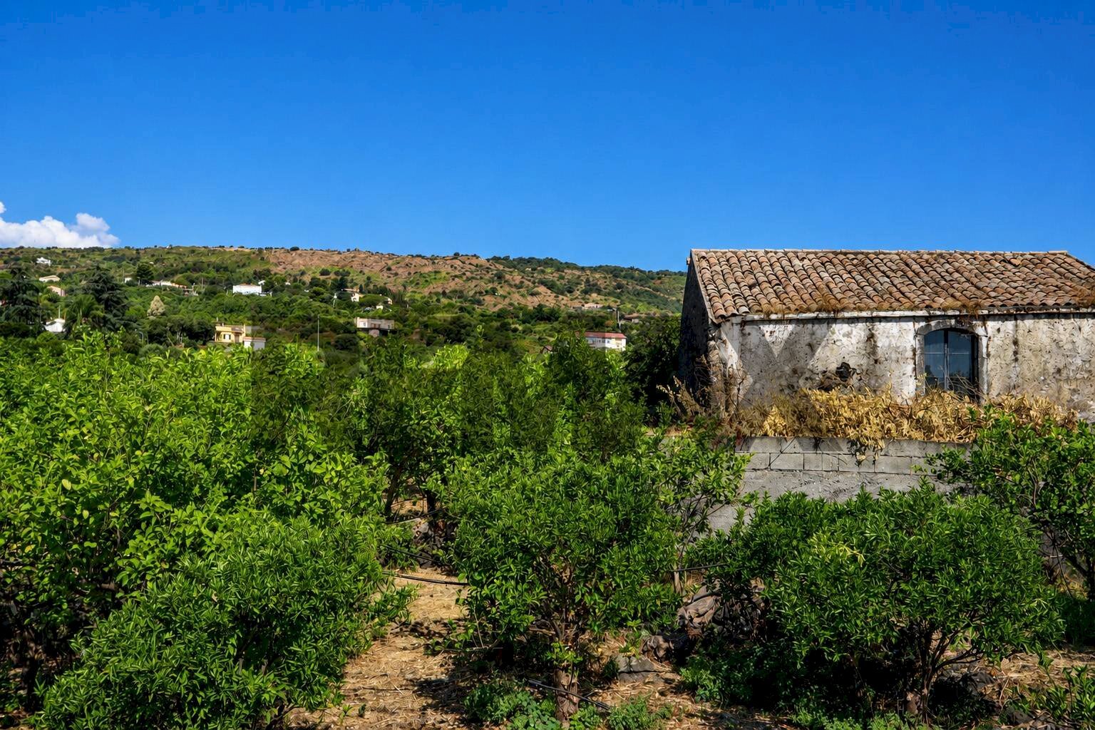Casa all\'aperto - Rustico Contrada Scorciavacca
snc, Mascali - foto 2
