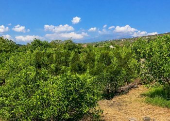 Vista delle montagne - Rustico Contrada Scorciavacca
 
snc, Mascali - foto 19