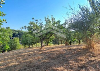 Foto 33 - Villa Castelbottaccio - photo 33
