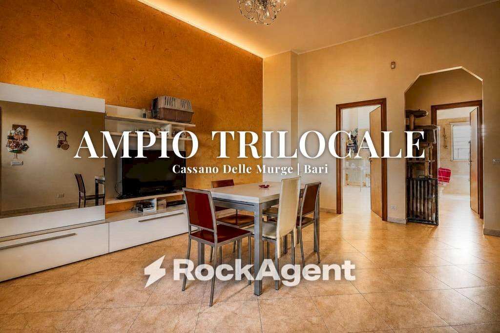 Salone - Three-room apartment via Gen. Giovanni Magli, 15, Cassano delle Murge - photo 1