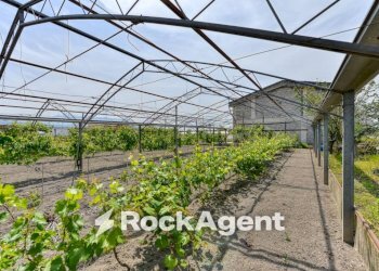 Terreno - Rustic via Orta Corcia, Angri - photo 18