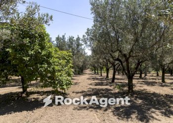 Terreno - Villa Località Zilleria, Montepaone - photo 36