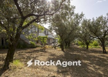 Terreno - Villa Località Zilleria, Montepaone - photo 3
