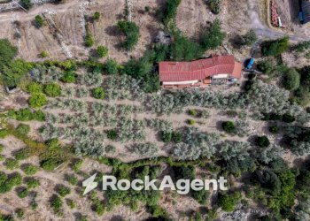 Terreno - Villa Località Zilleria, Montepaone - foto 3