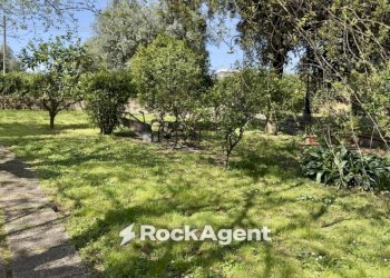 Terreno - Villa via Colle Scarano, 79, Velletri - photo 38