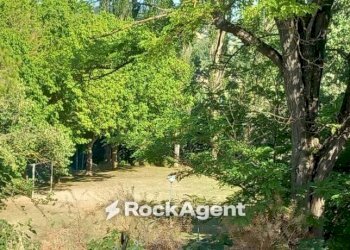 Terreno - Villa Roncitelli, AN, Senigallia - photo 15