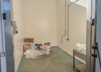 Magazzino - Capannone via Corradino D'Ascanio, Acquapendente - foto 19