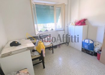 IMG_1292 - Four-room apartment Osimo - photo 8