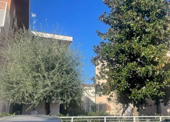 WhatsApp Image 2026-08-25 at 17.42.23 - Two-room apartment Via Pasquale Boninsegni, Rimini - photo 11