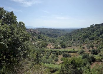 20260826_112600 - Appartamento Via Flaminia 33, Castelnuovo di Porto - foto 18