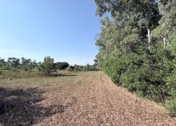11 - Terreno agricolo Via Turano 23, Aprilia - foto 10