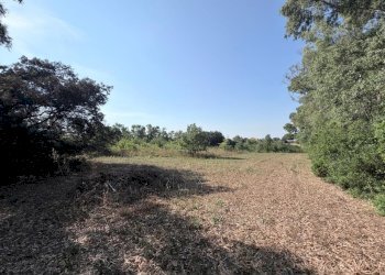 10 - Terreno agricolo Via Turano 23, Aprilia - foto 11