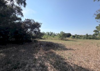 9 - Terreno agricolo Via Turano 23, Aprilia - foto 12