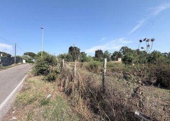 6 - Terreno agricolo Via Turano 23, Aprilia - foto 14