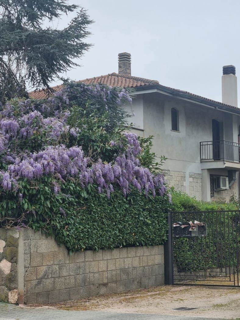 1.jpeg - Villa Via Cagliari snc, Aprilia - photo 1