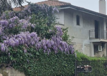 1.jpeg - Villa Via Cagliari snc, Aprilia - photo 1