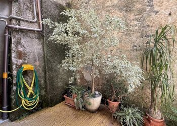 Apartment VIA DELLA REPUBBLICA 120-4A, Camogli - photo 10
