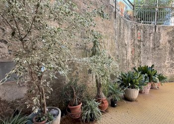 Apartment VIA DELLA REPUBBLICA 120-4A, Camogli - photo 11