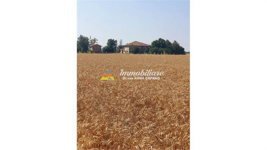 Rustic VIA VIAZZA DESTRA 46, Budrio - photo 2