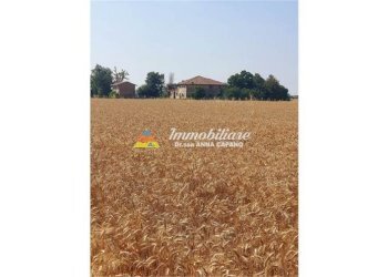 Rustico VIA VIAZZA DESTRA 46, Budrio - foto 2