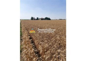 Rustico VIA VIAZZA DESTRA 46, Budrio - foto 4