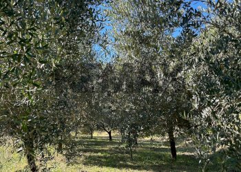 Casa indipendente Bozzolo, Brugnato, Brugnato - foto 7