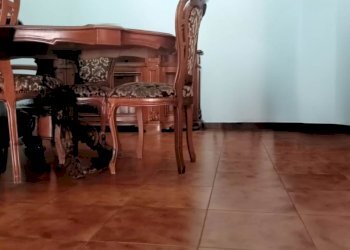 Appartamento Viale Jenner 114/118, Alcamo - foto 14