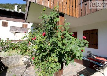 Foto 18 - Trilocale Via San Dionisio
18, Pieve di Cadore - foto 18