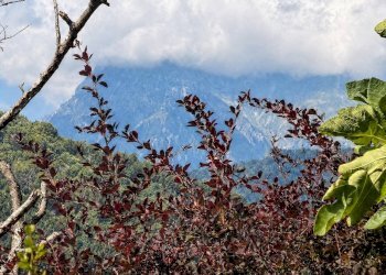Foto 19 - Rustico Frazione Uscerno, Montegallo - foto 19
