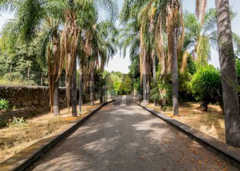 Giardino - Villa Via Nuova
11, Aci Catena - photo 7