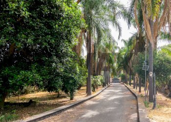 Giardino - Villa Via Nuova
11, Aci Catena - photo 8