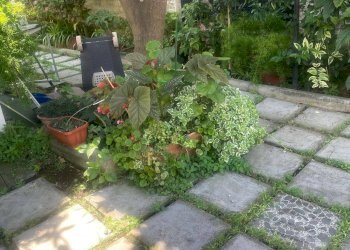 Foto 15 - Three-room apartment Via Generale Clark
41, Salerno - photo 15