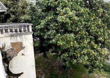Foto 12 - Villa Mogliano Veneto - foto 12