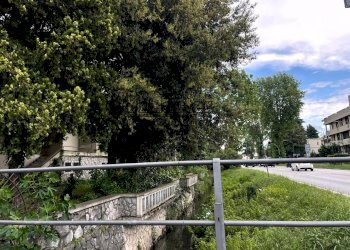 Foto 31 - Villa Mogliano Veneto - foto 31