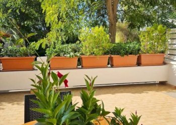 Terrazzo - Three-room apartment via dei Lucci Marini, 3, Torricella - photo 17