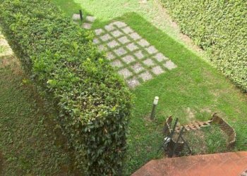 Giardino - Three-room apartment via dei Bassi, Signa - photo 3