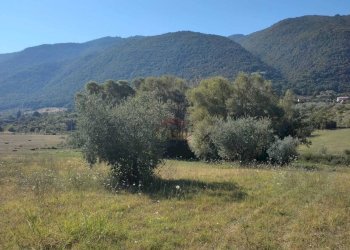 Foto 5 - Agricultural land Castel Madama - photo 5