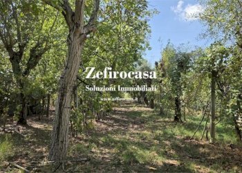 Terreno - Villa San Giovanni in Persiceto - foto 26