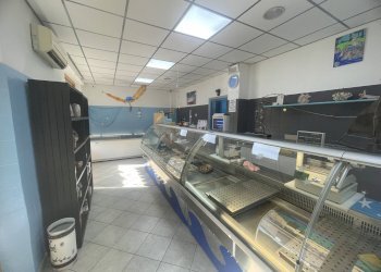Foto 1 - Attività Commerciale Via U Foscolo, Spinetoli - foto 1