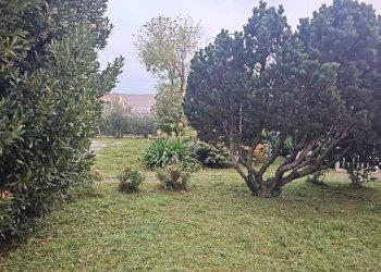 Giardino - Villa Gorle - photo 2