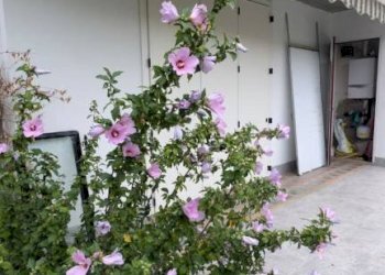 Balcone - Villa Gorle - photo 3