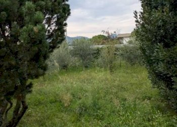 Terreno - Villa Gorle - photo 5
