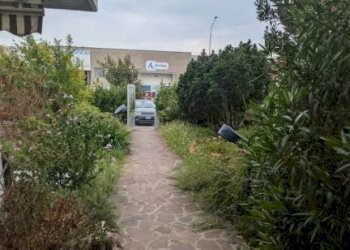 Giardino - Villa Gorle - photo 6