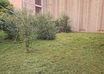 Giardino - Villa Gorle - photo 18