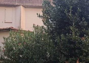 Giardino - Villa Gorle - photo 19