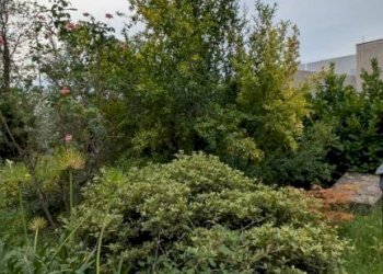 Terreno - Villa Gorle - photo 21