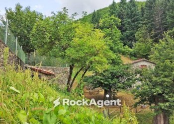 Terreno - Independent house via Sant'Antonio, 13, Fosciandora - photo 25