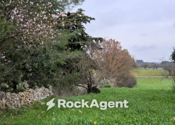 Terreno - Rustico Carraro dei Girardi, Gioia del Colle - foto 15